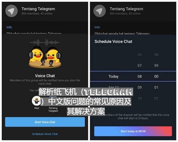 解析纸飞机（Telegram）中文版问题的常见原因及其解决方案